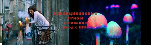 apvp Балахна